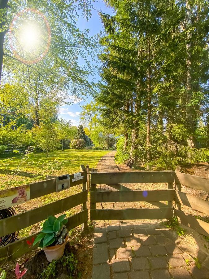 Ferienwohnung Im Sachsenwald Dassendorf ภายนอก รูปภาพ