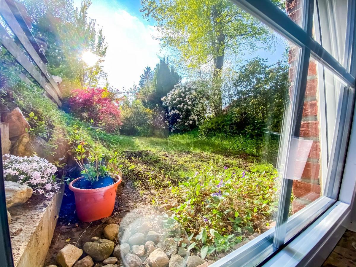 Ferienwohnung Im Sachsenwald Dassendorf ภายนอก รูปภาพ